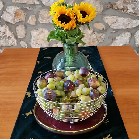 Paula - By The Sea 米利尼