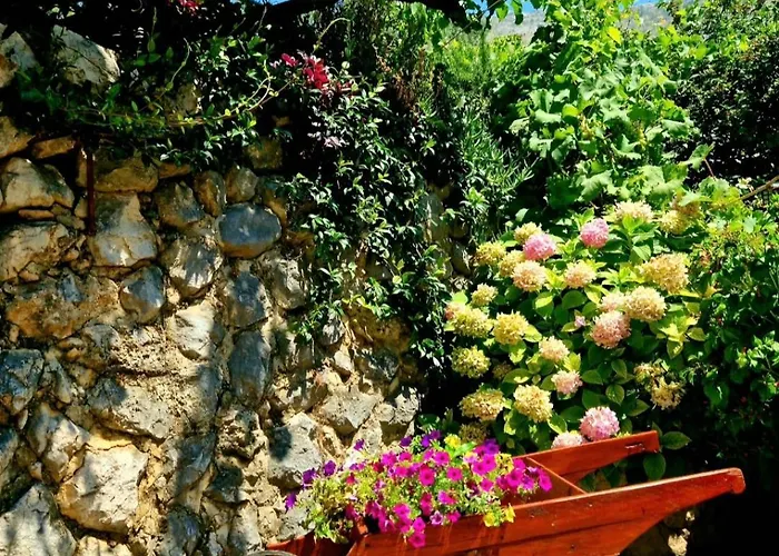 公寓 Paula - By The Sea 米利尼